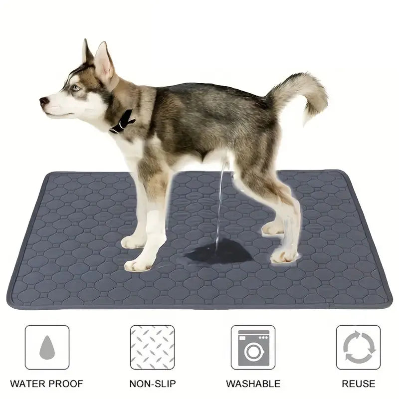 Reusable Dog Pee Pad + Waterproof & Absorbent – For Floor, Sofa, and Car | Eco-Friendly & Machine-Washable