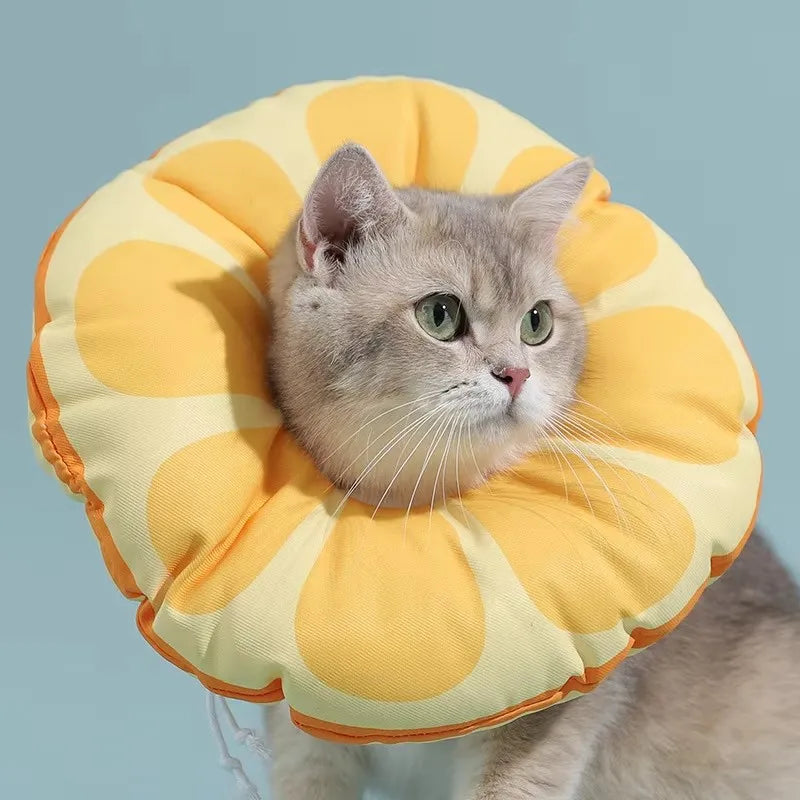 Soft Cat Recovery Cone – Comfortable Elizabethan Collar for Cats | Anti-Lick, Post-Surgery Wound Healing Neck Cone