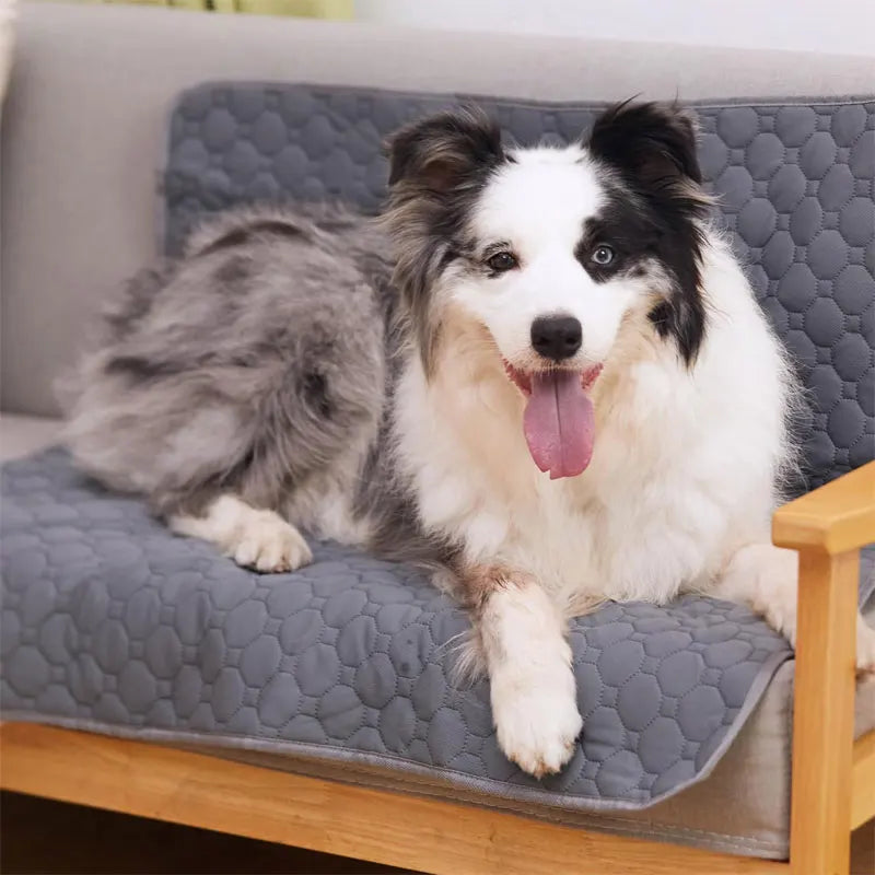 Reusable Dog Pee Pad + Waterproof & Absorbent – For Floor, Sofa, and Car | Eco-Friendly & Machine-Washable