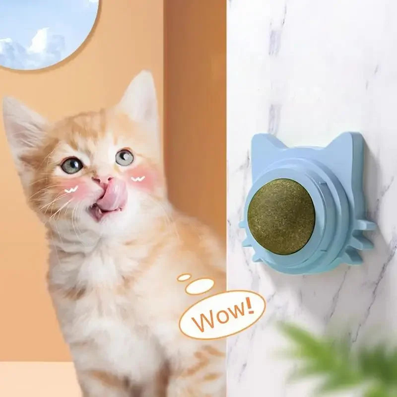 Lickable Catnip Balls – Funny Chew Toy for Cats | Dental Care, Treat & Play